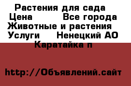 Растения для сада › Цена ­ 200 - Все города Животные и растения » Услуги   . Ненецкий АО,Каратайка п.